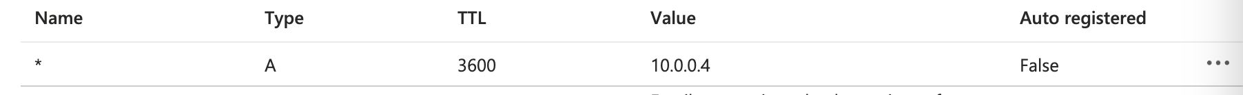 Private Link DNS 와일드카드 설정